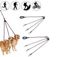 3 Way Dog Coupler Leash No Tangle Splitter Triple Dog Leash for Walking Running Three Small Dogs Cats Puppy 3 in 1 Traction Rope