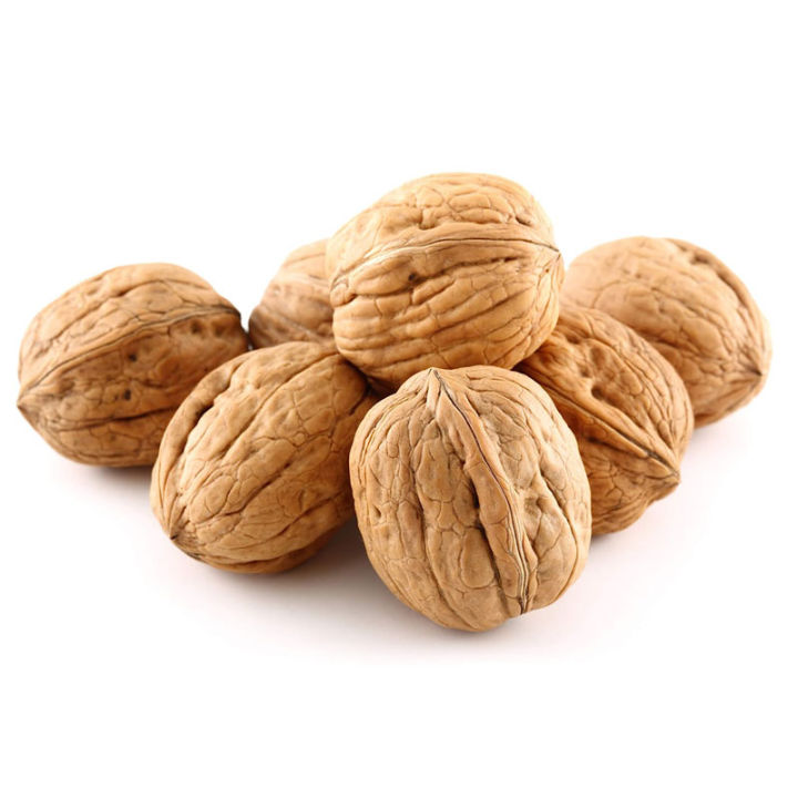 วอลนัท-walnut-สำหรับนกแก้ว-หนูแฮมสเตอร์-กระรอก-แพรี่ด็อก-และสัตว์ฟันแทะ-แบ่งขาย-5ลูก-10ลูก-20ลูก