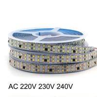 double row 220V 230V 240V LED Strip 2835 High Brightness 240LEDs/m Flexible LED Ribbon flexible lighting