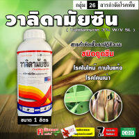 วาลิดามัยซิน (Validamycin) สารป้องกันกำจัดโรคพืช เป็นสารปฏิชีวนะใช้กำจัดเชื้อรา โรคใบไหม้ของข้าว โรคกาบใบแห้ง โรคใบติด โรคโคนเน่า