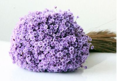 [AYIQ Flower Shop] ช่อดอกไม้ป่าดอกเล็กๆแห้งประมาณ30ชิ้นพวงดอกไม้แห้งตามธรรมชาติการตกแต่งบ้านวัสดุดอกไม้จัดส่งฟรี