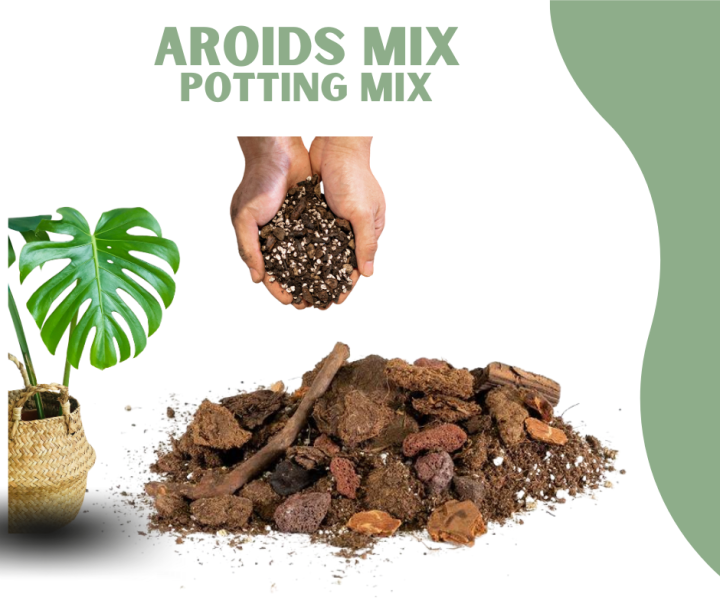 AROIDS MIX POTTING MIX FOR PLANTS/ BEST SOIL MIX FOR PLANTS 2L8L