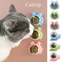 【A Smart and Cute】ของเล่น Catnip Safe Self Adhesive Ball Shape Cat Candy Licking Snacks Nutrition Energy Kitten Toy Supplies