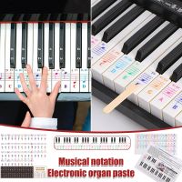 Transparent Piano Keyboard Sticker 25/49/61/76/88 Key Electronic Keyboard Key Piano Stave Note Sticker For White Keys Musical