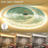 10M 50M 220V 2835 SMD LED Strip Lights 120LEDs/M Flexible LED Tape Waterproof LED Lights 3000K 4000K 6000K 80 RA No need power LED Strip Lighting