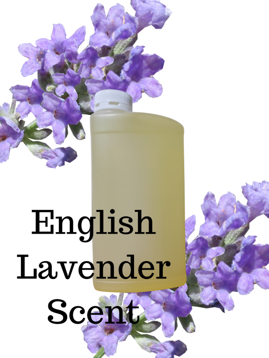 English Lavender Fragrance Oil Lazada PH