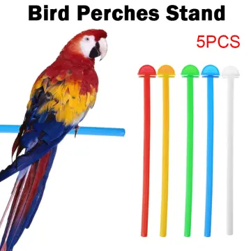 Shop Plastic Bird Stand with great discounts and prices online
