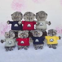 25/35CM Basik Cat Basic Gray Cats Plush Toys Dolls Children Pillow Stuffed Toys Jouet Enfant Plushie Birthday Gifts for Girls