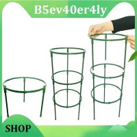 B5ev40er4ly Shop Plant Support Pile Stand climb for Flowers grow Semicircle Greenhouses Arrangement Fixing Rod Holder Orchard Garden Bonsai Tool