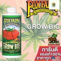 [พร้อมส่ง]⭐⭐Fox Farm Grow Big (6-4-4) ปุ๋ยบำรุงพื้นฐานการเติบโตของต้นโดยรวม ทั้งโครงสร้างราก ลำต้น ใบและดอก ขนาดแบ่ง 50/100/250mlจัดส่งฟรีมีเก็บปลายทาง