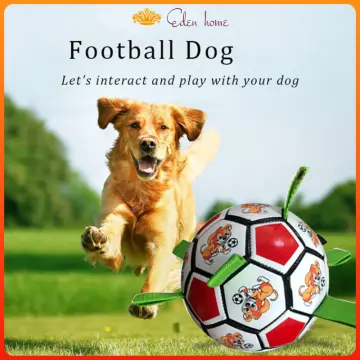 Dog Toys, Interactive Dog Soccer Toys With Grab Tabs, Durable Dog Balls For  Small And Medium Dog Water Toys Indoor And Outdoor