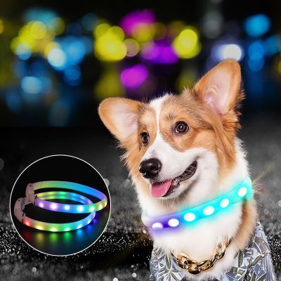 ○◊ USB Rechargeable Pet Dog LED Glowing Collar Pet Luminous Flashing Necklace Outdoor Walking Dog Night Safety Collar Adjustable