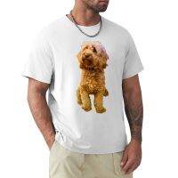 Cavapoo Cavoodle Puppy - Cute Cavalier King Charles Spaniel T-Shirt Tee Shirt Short T-Shirt Men Workout Shirt