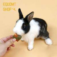 EQUOMT หนูตะเภาสัตว์เล็กๆจากธรรมชาติหนูแฮมสเตอร์ของเล่นเคี้ยวกระต่ายแครอททิโมธีเค้กหญ้าแห้งขนมกินเล่นคุกกี้