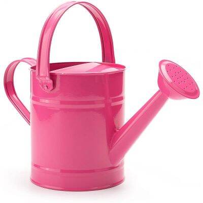 【CC】 1.5L Iron Watering Can Bonsai Shower Gardening Pot Sprinkled Kettle Garden Irrigation Spray Bottle