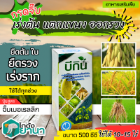 ? บีกิน (สารสกัดจากสาหร่าย+กรดอะมิโน) ขนาด 500ซีซี น้ำยา เร่งราก กระตุ้นราก