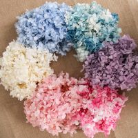 【CC】 5 5.5g/Lot Preserved Hydrangeas Flowers Dried Hydrangea Heads Candle Making Material