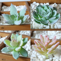 ประดิษฐ์ Succulents Flocked พืชชุดมินิปลอมฉ่ำ Unpotted F AUX ตกแต่งสวนจำลองบอนไซตกแต่งสก์ท็อป