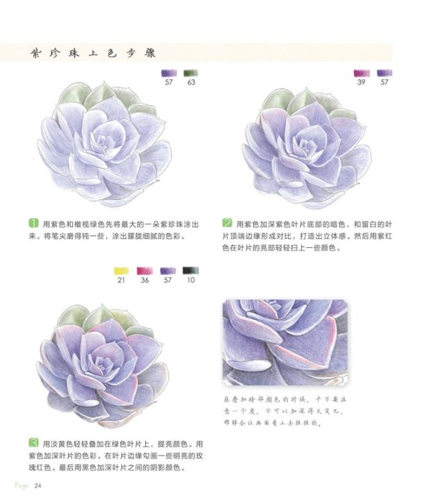 ดินสอจีนสมุดวาดเขียน38ชนิด-succulent-พืชดินสอสีวาดรูปหนังสือศิลปะสำหรับวาดรูป-tutorial-art-book