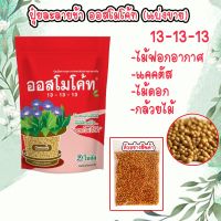 ปุ๋ยออสโมโค้ท ปุ๋ยสูตรเสมอ 13-13-13 ราคา 9-20 บาท ถูกที่สุด บำรุงต้น [แบ่งขาย] ราก ใบ ไม้ฟอกอากาศ แคคตัส ไม้ดอก