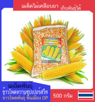 เมล็ดพันธุ์ข้าวโพดหวาน Sweet Corn seed  พันธุ์ซุปเปอร์สวีท พันธุ์ OP พื้นเมือง 500  กรัม