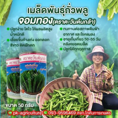 เมล็ดพันธุ์ถั่วพลู จอมทอง ขนาด 50 กรัม