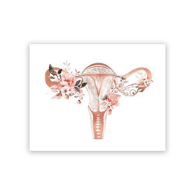 OBGYN Posters Decor Wall Canvas Painting Breast Anatomy Art Print ...