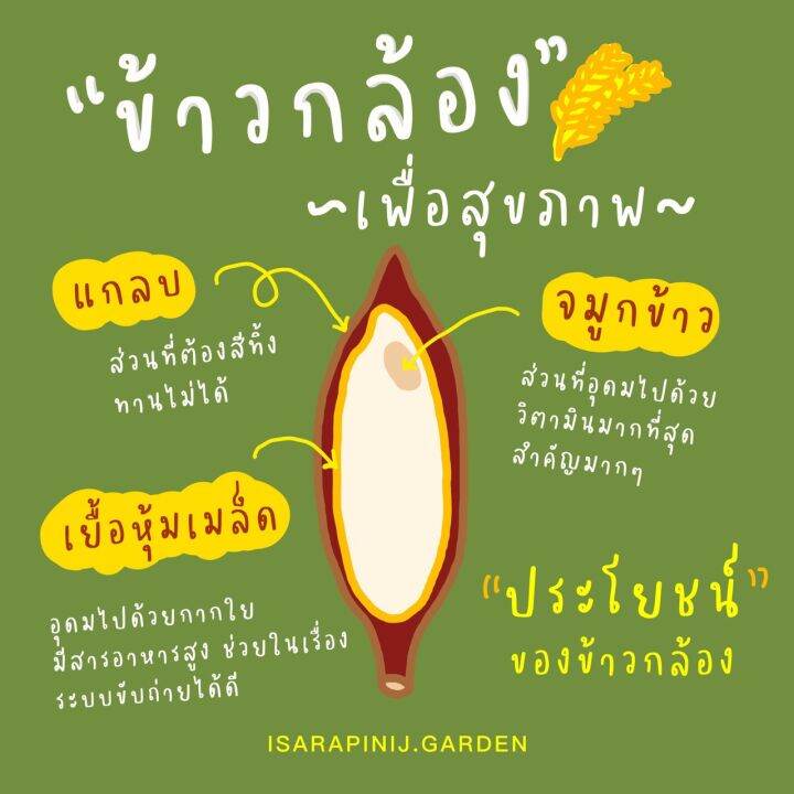 จมูกข้าวกล้อง-จมูกข้าวคนท้อง-จมูกข้าว-แพ็คสูญญากาศ-1-กิโลกรัม-แพ็ค4