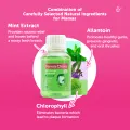 Mama's Choice Natural Mouthwash (Safe, halal, natural maternity care products for pregnant and breastfeeding mothers). 