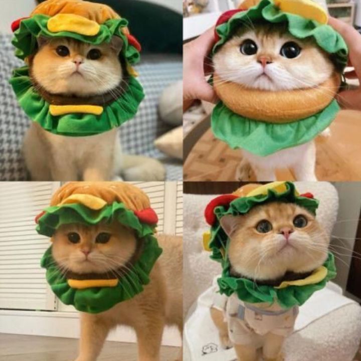 dimama-codหมวกแมว-รูปแฮมเบอร์เกอร์น่ารัก-หมวกสัตว์เลี้ยง-สําหรับสัตว์เลี้ยง-สุนัข-แมว