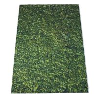 5x7ft(150x210cm) Nature Green Grass Backdrops Photography Wedding or Children Birthday Background