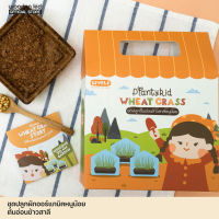 Planty Kid ชุดปลูกผักออร์แกนิค : ต้นอ่อนข้าวสาลี(Wheatgrass) ครบจบในกล่องเดียว