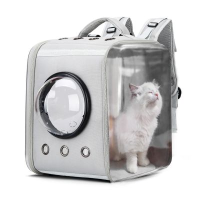 ▪┇∈ New transparent capsule foldable eva pet portable dog cat backpack bag