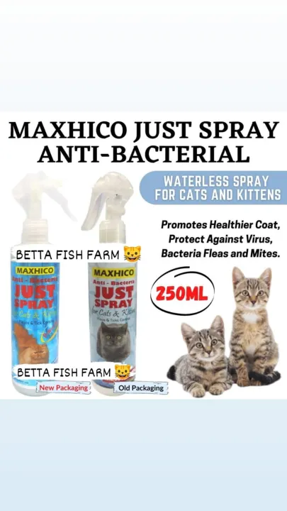 Ubat Kurap Kucing Ubat Kutu Kucing Flurry Spray 250ml Lazada