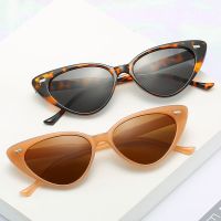 【LZ】▫  Retro Cat Eye Style Sunglasses Woman Small Frame Triangle Sun Glasses Male Brand Designer Rivet Vintage Oculos De Sol Feminino