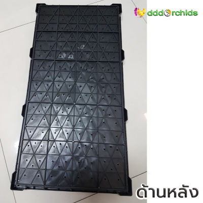 ถาดเพาะต้นอ่อน  10 ใบ  ขนาด 30 x 60 x 3.5 ซม. : ร้าน dddOrchids