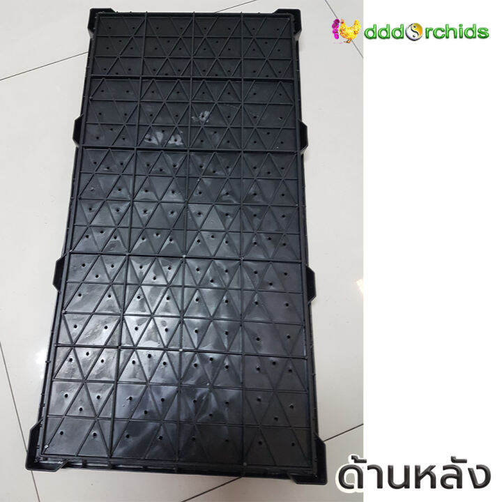 ถาดเพาะต้นอ่อน-10-ใบ-ขนาด-30-x-60-x-3-5-ซม-ร้าน-dddorchids