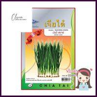 เมล็ดพันธุ์หอมแบ่งมันน์นี่สตาร์ ตราเจียไต๋BUNCHING ONION MONEY STAR SEEDS CHIATAI **บริการเก็บเงินปลายทาง**