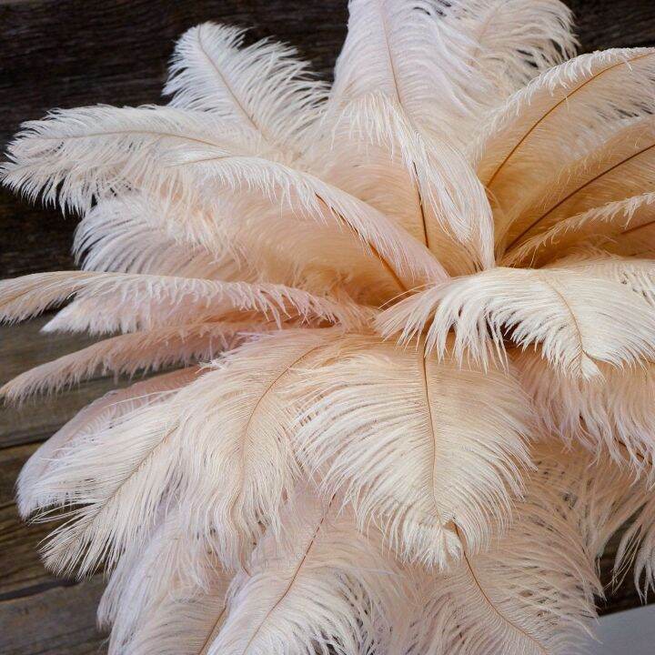 10pcs-colored-feathers-15-60cm-for-crafts-wedding-table-fluffy-plumas-accessories-bulk