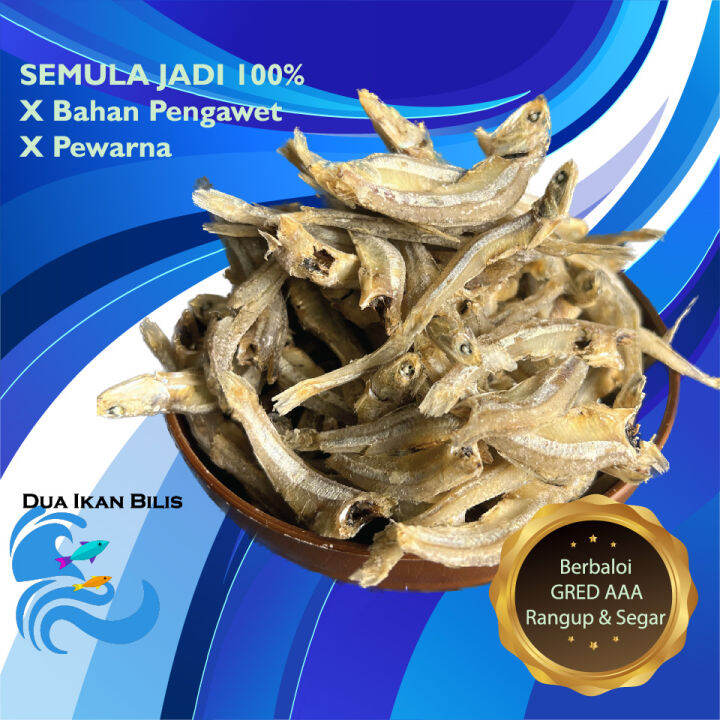 Ikan Bilis tempatan Besar size besar M (No Kopek) -berbaloi Segar # ...