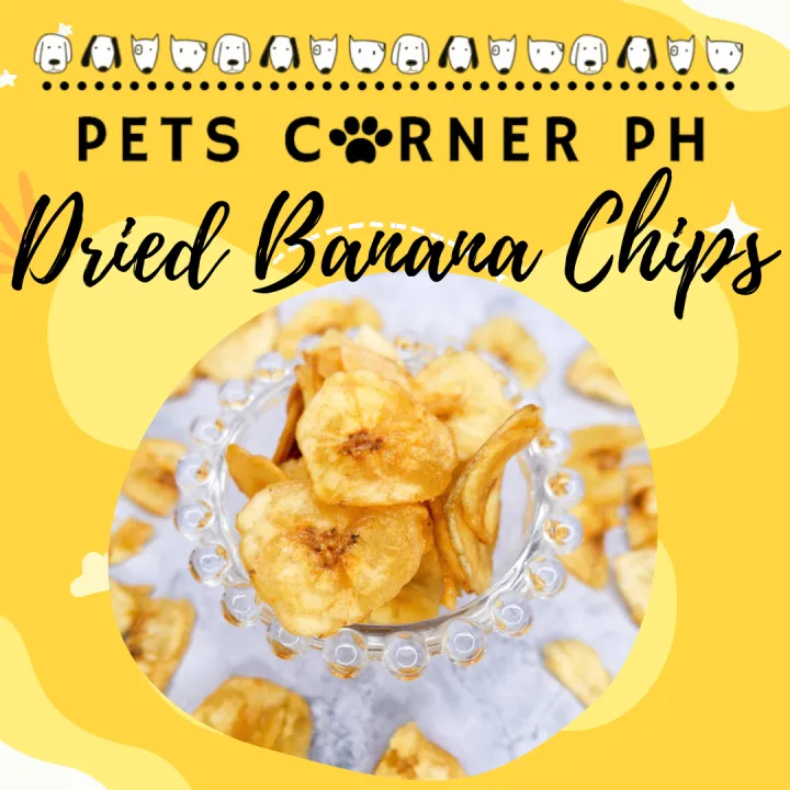 Jonsanty Dried Banana Chips snack for hamsters 10g repacked / trial