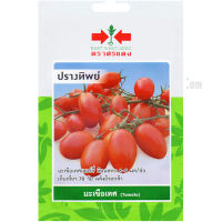 เมล็ดพันธุ์ มะเขือเทศ ปรางทิพย์ (Tomato PrangThip) บรรจุประมาณ 20 เมล็ด เป็นมะเขือเทศเชอร์รี่ติดผลดก 6-9 ผลต่อช่อ ตราศรแดง