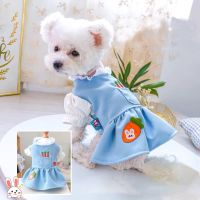 Sweet Puppy Cat Dress Blue Lace Collar Bubble Sleeve Dog Shirt Dress Pet Clothes For Small Dogs Chihuahua Kitten Pups Skirts XS Dresses