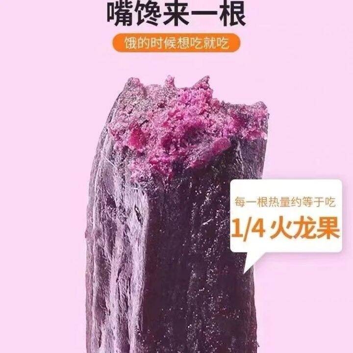 purple-sweet-potato-dry-vacuum-no-added-sucrose-ready-to-eat-independent-packaging