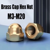 1/2/5PCS M3 M4 M5 M6 M8 M10 M12 M14 M16 M18 M20 Brass Cap Hex Nut Decorative Dome Head Cover Semicircle Copper Acorn Nut