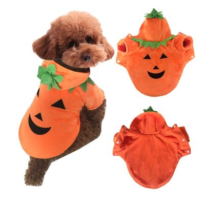 [COD] Pumpkin Costume Dog Wholesale