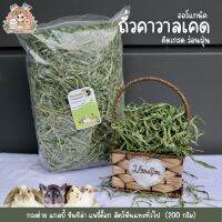 หญ้าถั่วคาวาลเคด สำหรับสัตว์ฟันแทะ