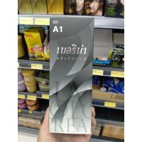 สีย้อมผม Berina A1 Black