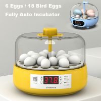 Mini Birds Egg Incubator Automatic Home Brooder Cute Cartoon Automatic Incubator Electric for Children Chicken Birds 6 18 Eggs