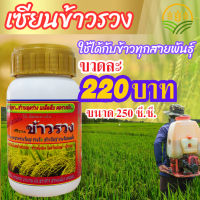 เซียนข้าวรวง ขนาด 250 ซีซี ฮอร์โมนบำรุงข้าว ปุ๋ยฉีดข้าว ยาฉีดข้าว อาหารเสริมข้าวตั้งท้อง  ปุ๋ยทางใบ ฮอร์โมน ปุ๋ยทางใบ อะมิโน ข้าวรวง